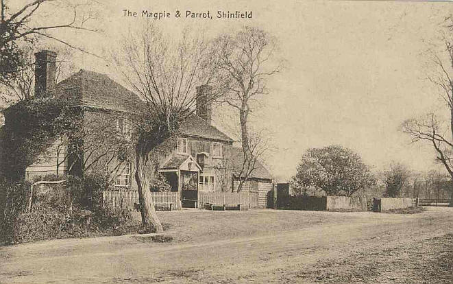 Magpie & Parrot, Shinfield 
