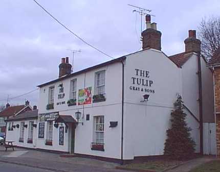 Tulip, Church Lane, Springfield