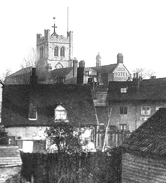 Welsh Harp & Crown in Waltham Abbey -early 20th Century