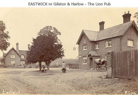 Lion, Eastwick, Hertfordshire