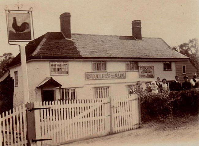 Cock, Bury Green, Little Hadham, Hertfordshire - circa 1910