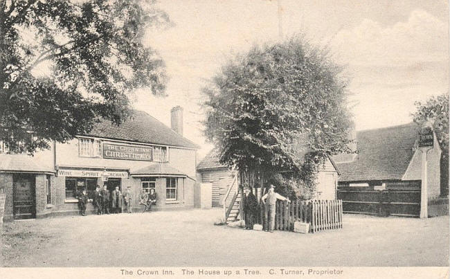 Crown, Hoddesdon Road, St Margarets, Ware - C Turner, proprietor