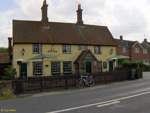 Chestnut Horse, Great Finsborough