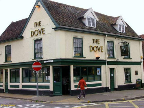 Dove, 76 St Helens Street, Ipswich