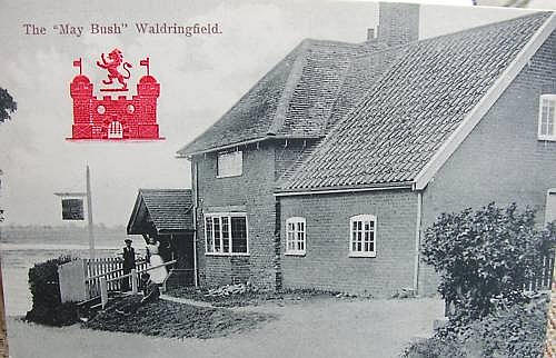 The May Bush, Waldringfield - circa 1905