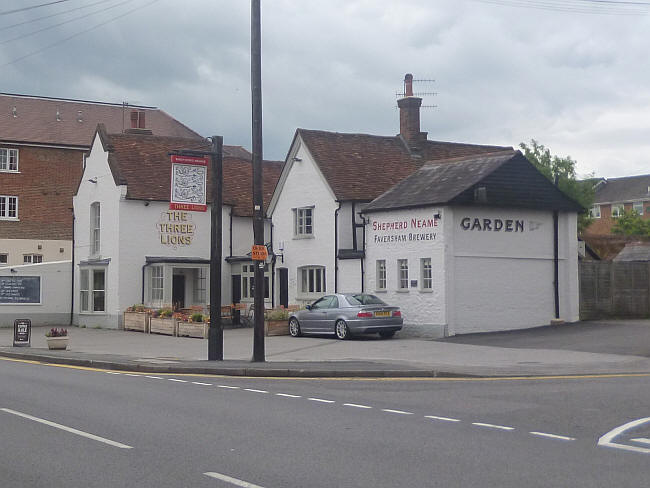 Three Lions, Meadrow, Farncombe - in June 2014